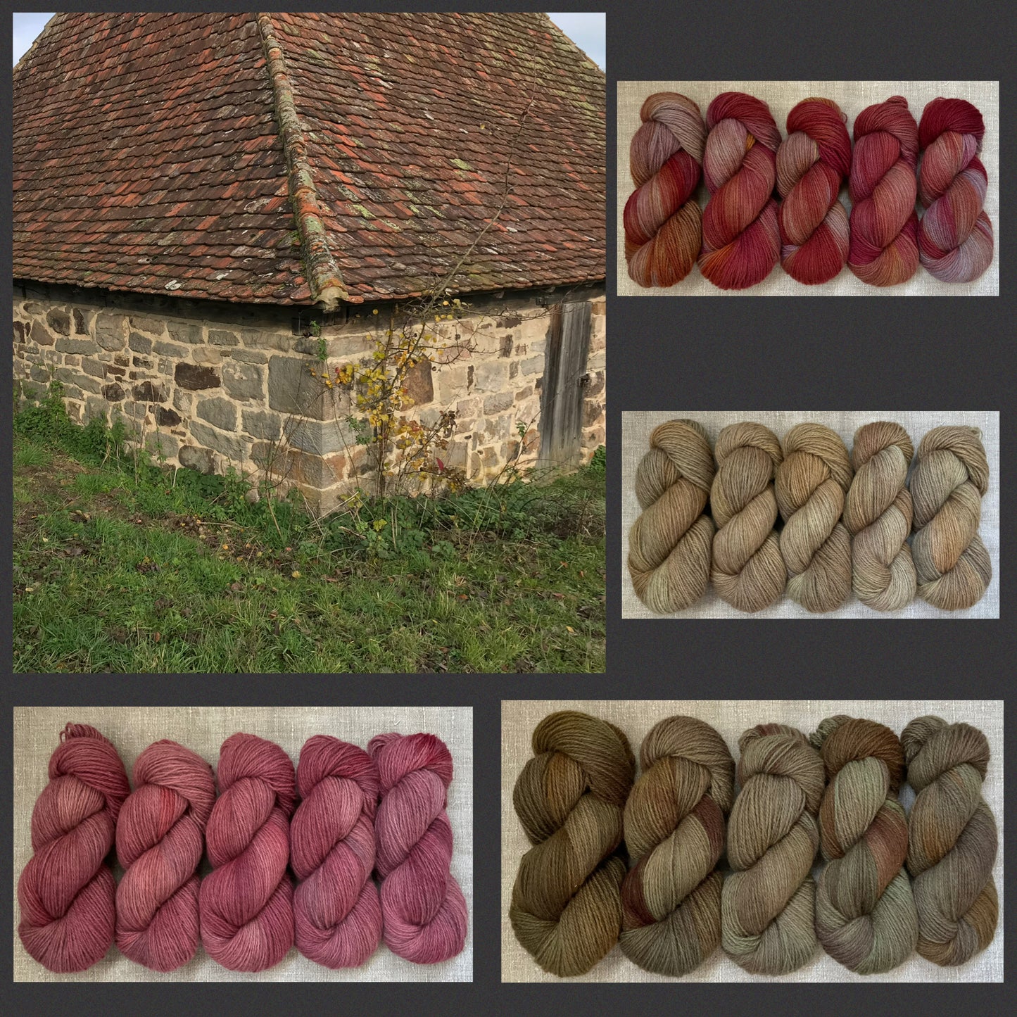 Coburger Fuchsschaf Wolle Landschaf "Robust & Anspruchslos"