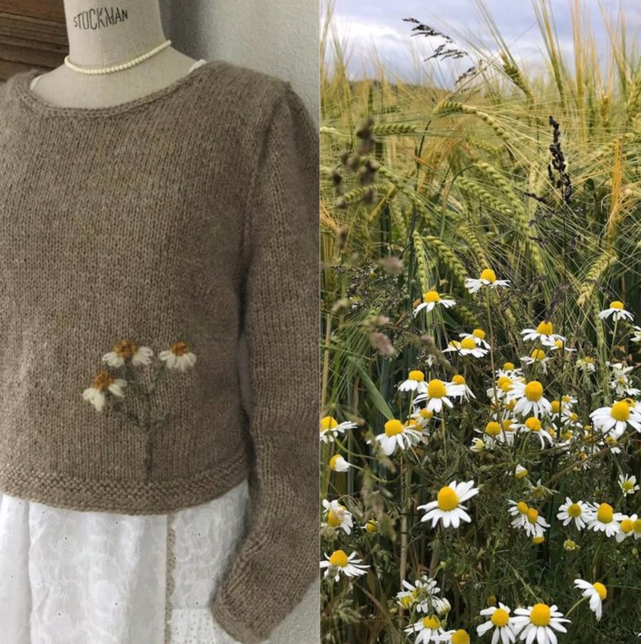 Pullover "Kamille am Feldrand"