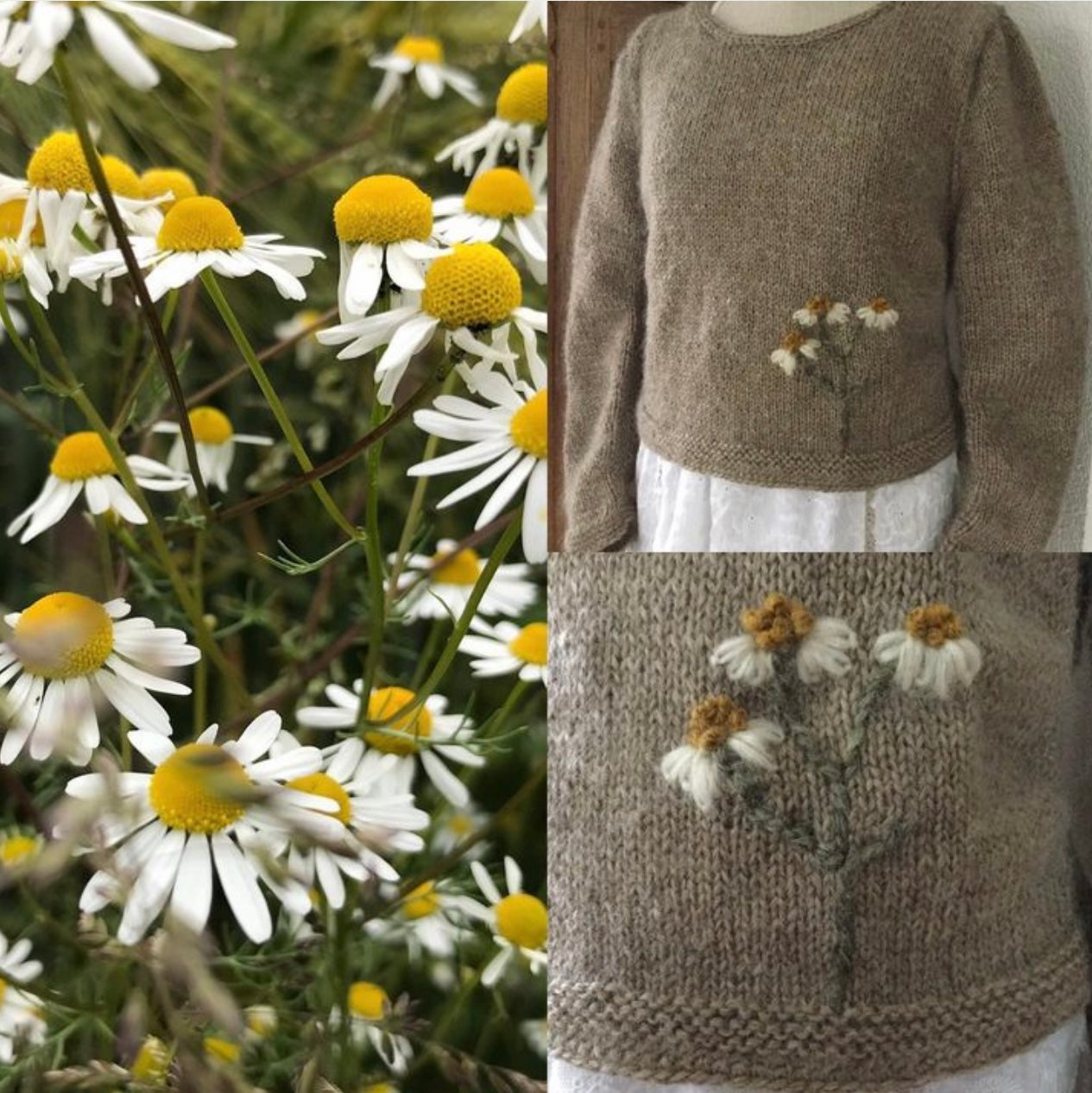 Pullover "Kamille am Feldrand"