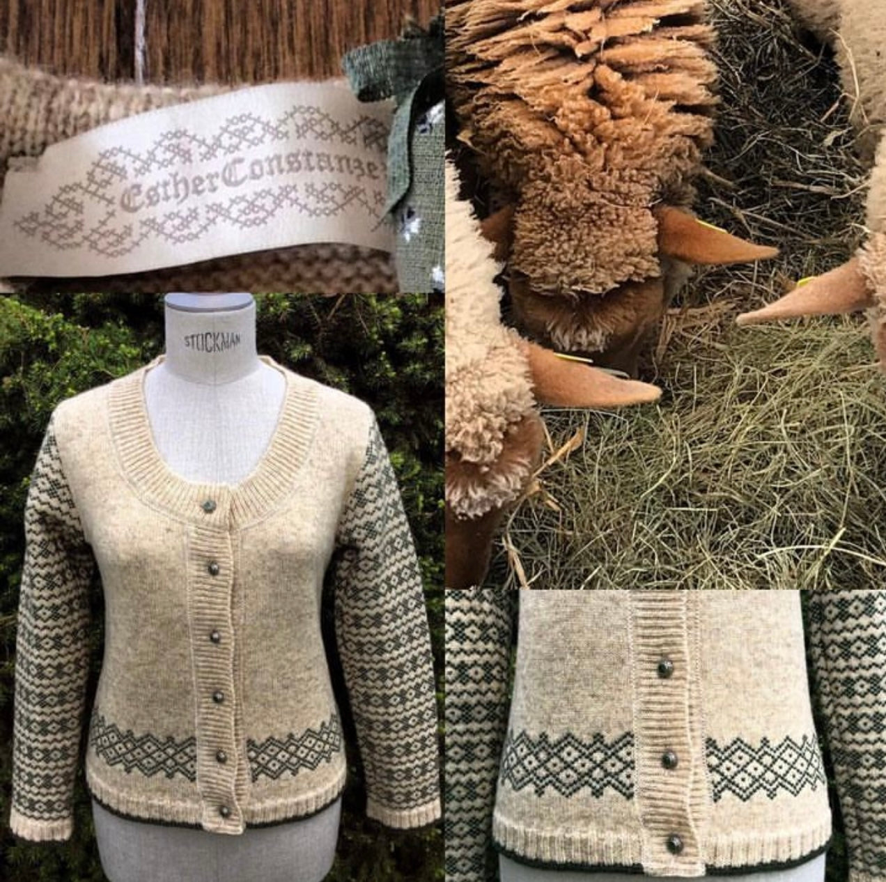 Strickjacke "Annerl" Coburger Fuchsschaf Wolle