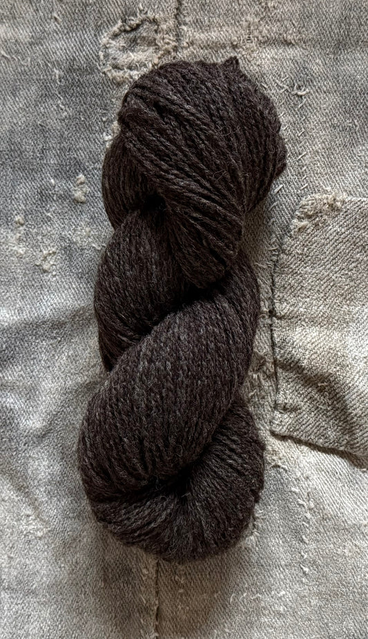 Dassenkopf Texel Schaf Wolle Schurwolle